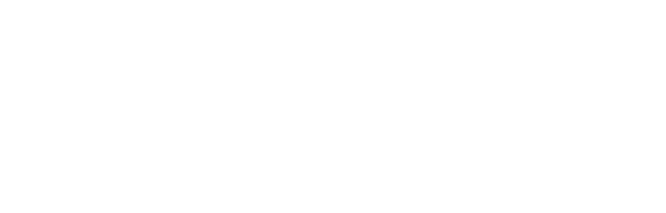 Singularity XDR Logo