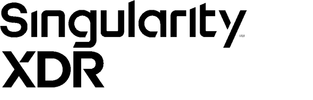 Singularity XDR Logo