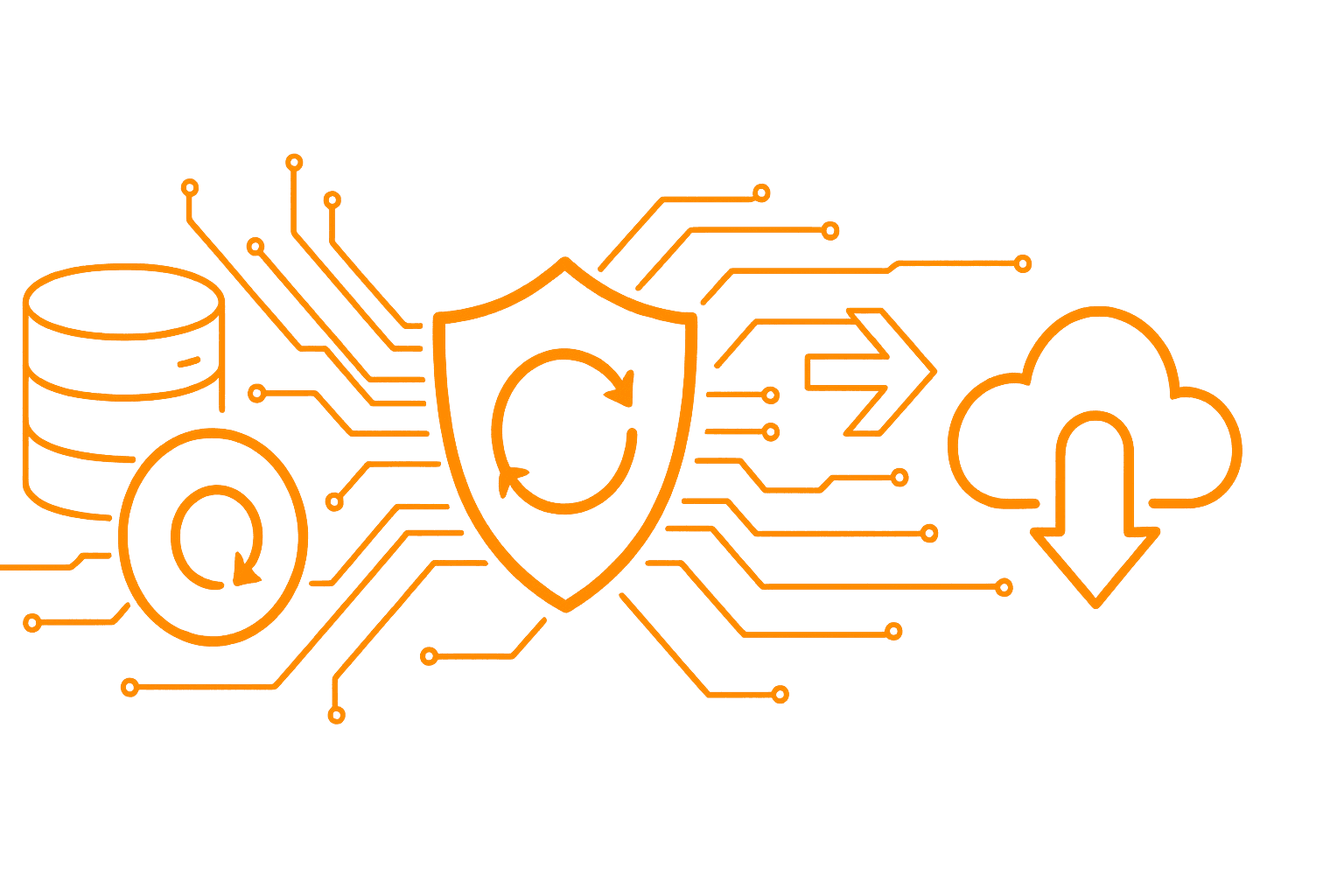 Enterprise datacenter protected with Veeam Backup and Replication